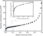 High Adsorption of Benzoic Acid on Single Walled Carbon Nanotube Bundles